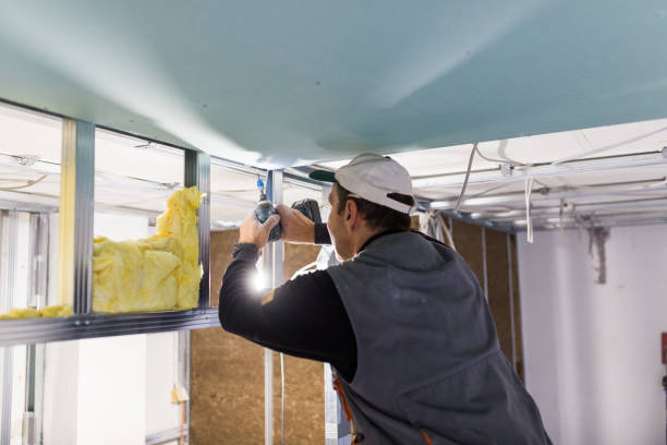 Best Local Insulation Services  in Columbus, MS