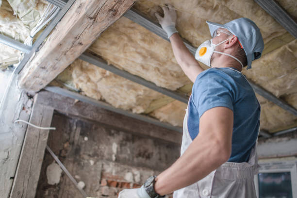 Best Cellulose Insulation  in Columbus, MS