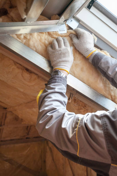Best Crawl Space Insulation  in Columbus, MS