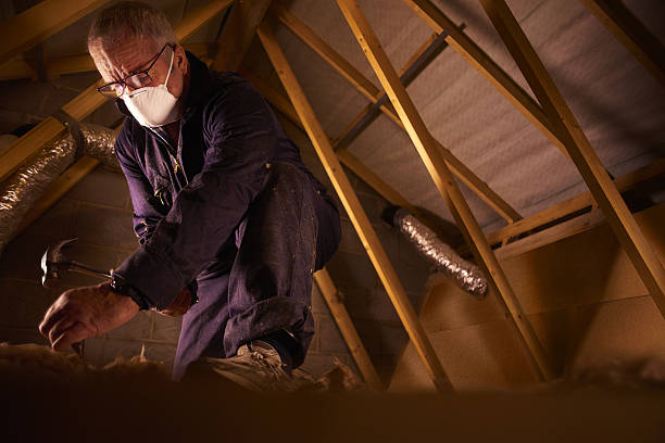 Best Garage Insulation Installation  in Columbus, MS